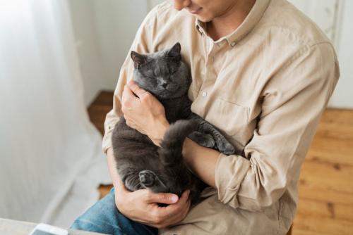 抱っこされている猫