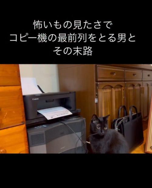プリンターと猫