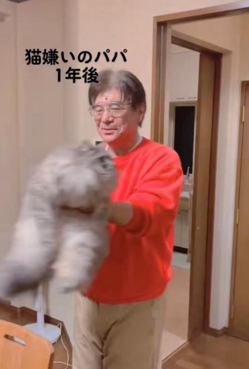 猫を抱っこして回る