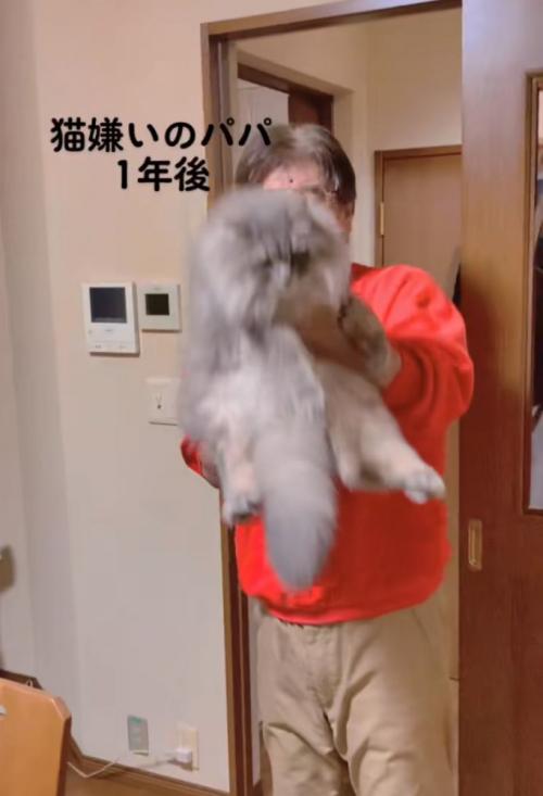 猫を抱き上げる