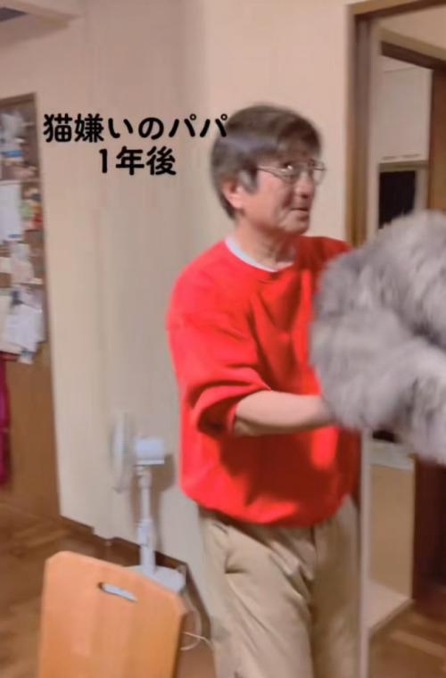 猫を抱き上げて回る
