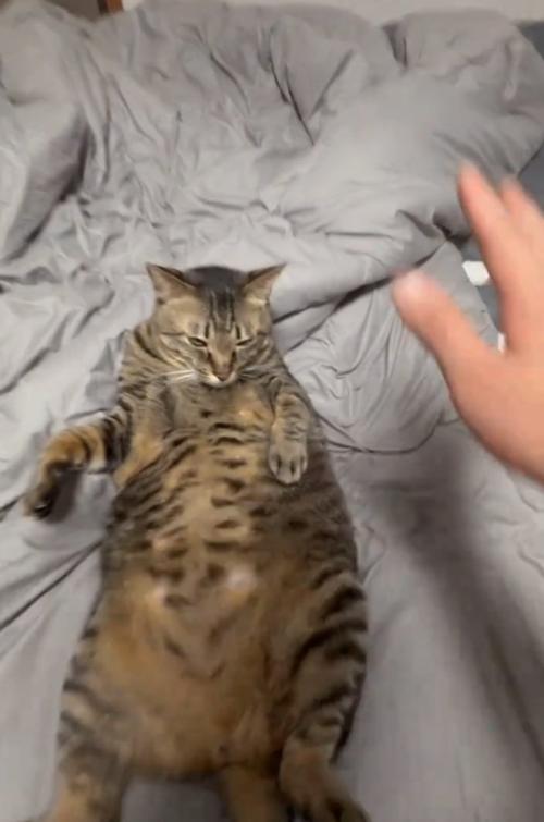 前に倒れる撮影者