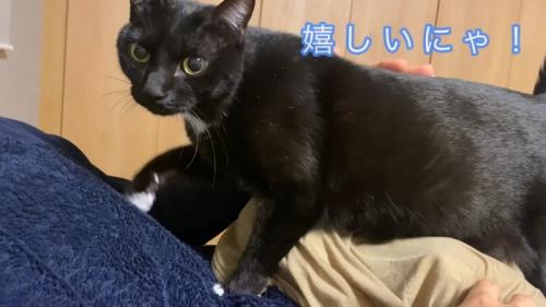 嬉しいにゃ！