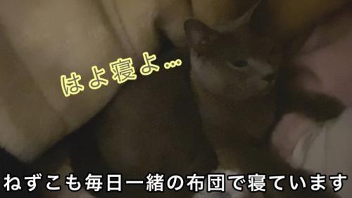 はよ寝よ…