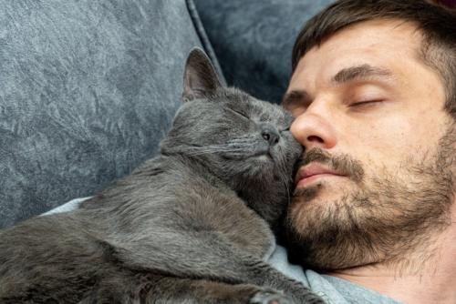 男性と顔寄せ合って眠る猫