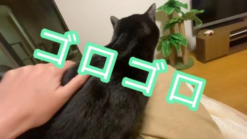 ゴロゴロ
