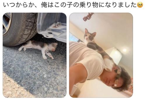 2枚の写真