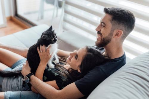 カップルに抱かれる猫