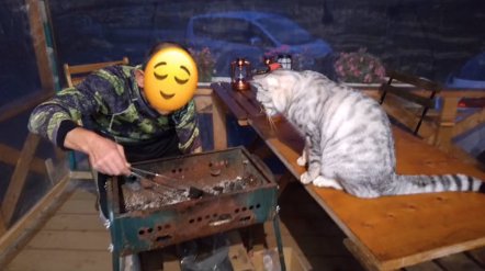 テーブルの上で炭を見つめる猫