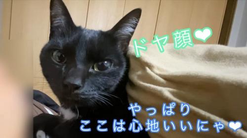 ドヤ顔