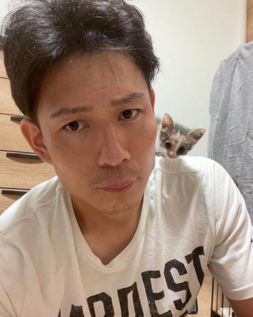 肩に乗る子猫