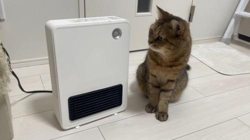ヒーターの隣に