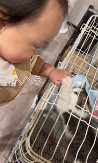 笑い声をあげる赤ちゃん