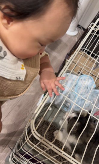 開いた手をかざす赤ちゃん