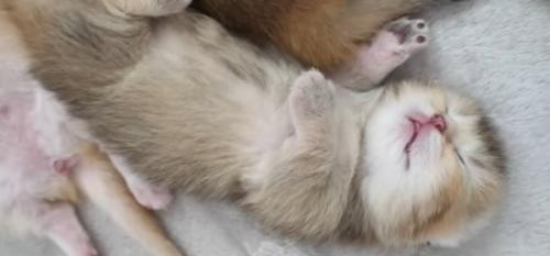 猫の様子