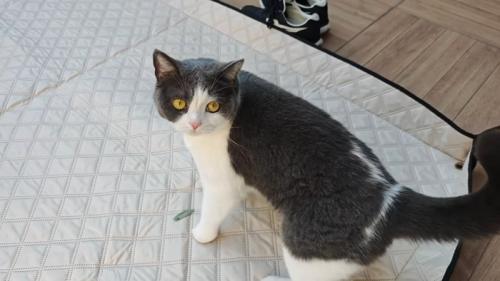 振り向いたビビちゃん