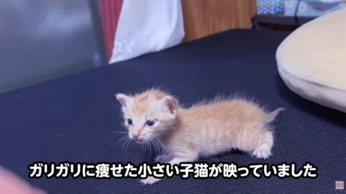 テロップ「ガリガリに痩せた～」