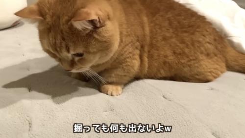 「掘っても何も...」のテロップ写真