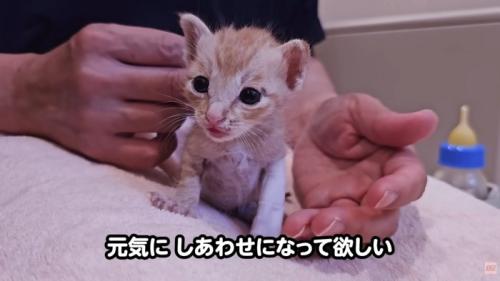 テロップ「元気にしあわせに～」