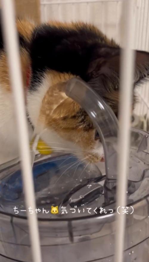 「気づいてくれ」と書かれている