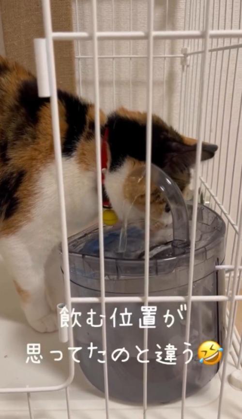 「飲む位置が…」と書かれている