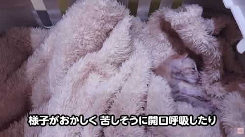 テロップ「様子がおかしく～」