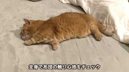 「全身で...」のテロップ写真