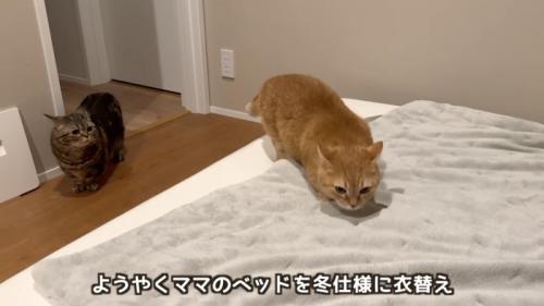 「ようやくママの...」のテロップ写真