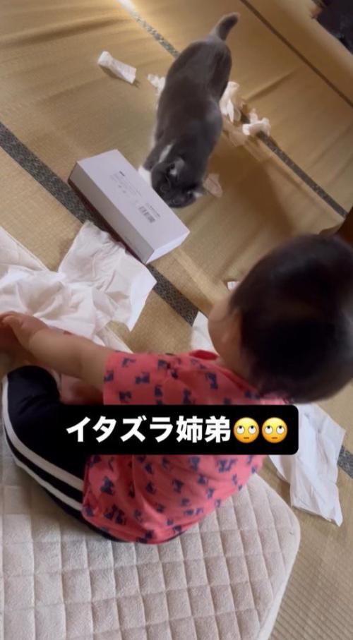 床に散らばったティッシュを見つめる猫と赤ちゃん