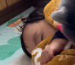 昼寝をする赤ちゃん
