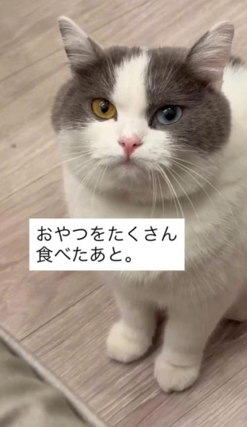 「おやつをたくさん食べたあと」と書かれている