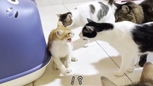 テロップ「！？」