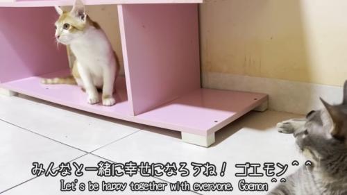 テロップ「みんなと一緒に～」