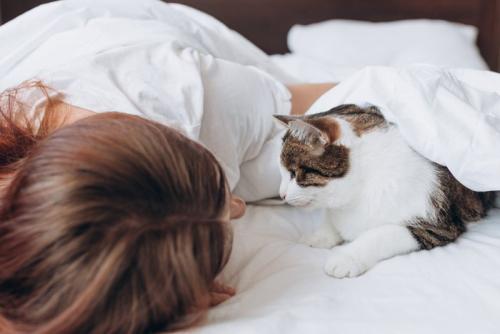 女性のそばに寄り添う黒猫