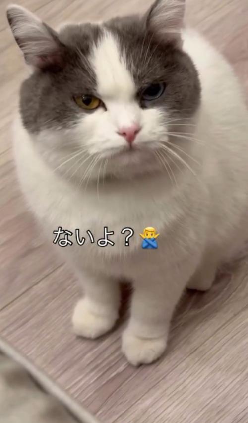 「ないよ？」と書かれている