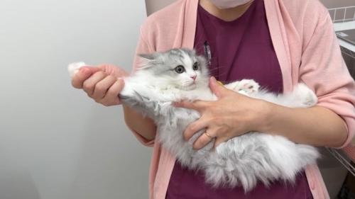 腕を伸ばしたポーズ