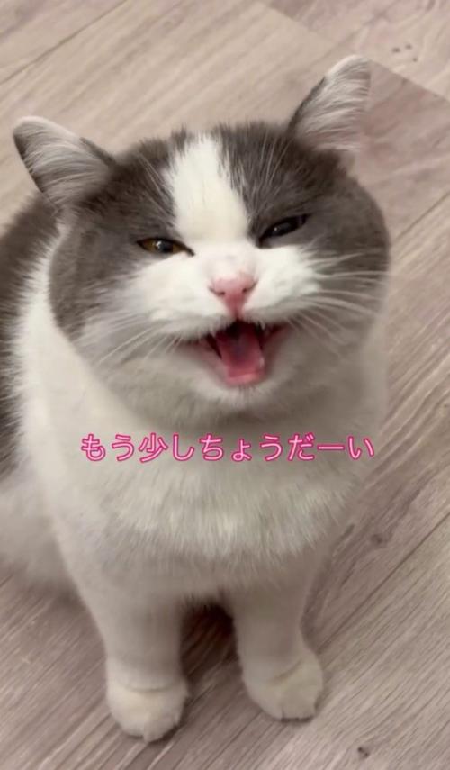 「もう少しちょうだーい」と書かれている