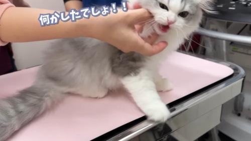 何かしたでしょ!!