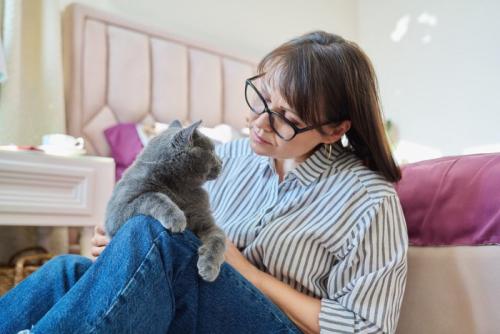 女性と向き合うグレイ猫