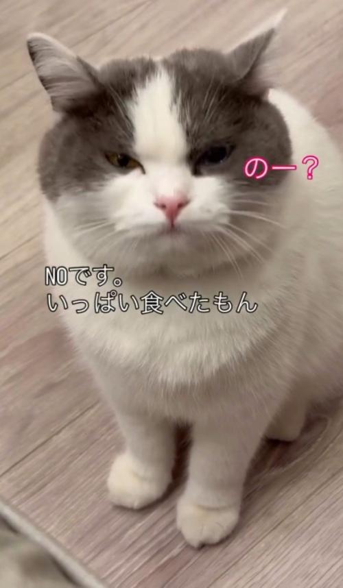 「のー？」と書かれている