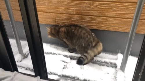 着地