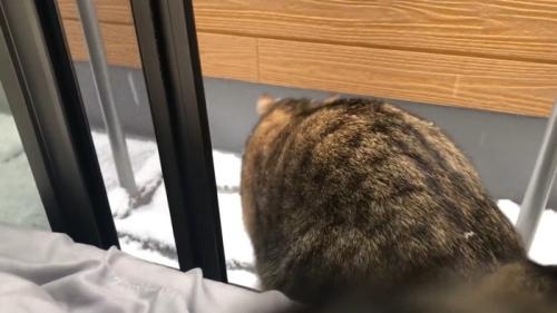 後ろ姿