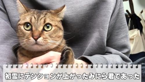 腕の中