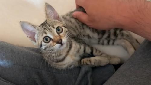 タロちゃん