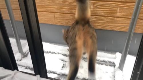 ジャンプ