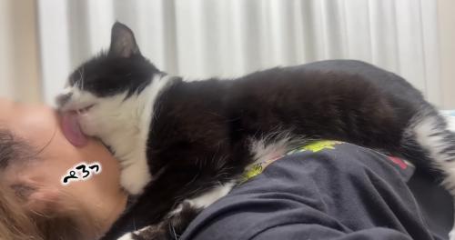 グルーミングに顔ペロペロ