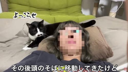 頭の方へ移動する