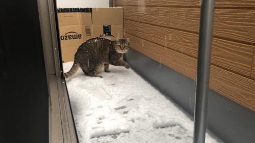 片足を上げて
