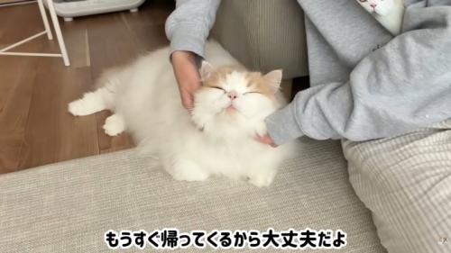 テロップ「もうすぐ帰ってくるから~」