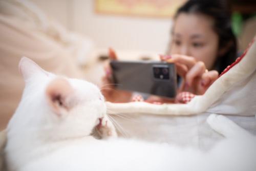 スマホで撮影